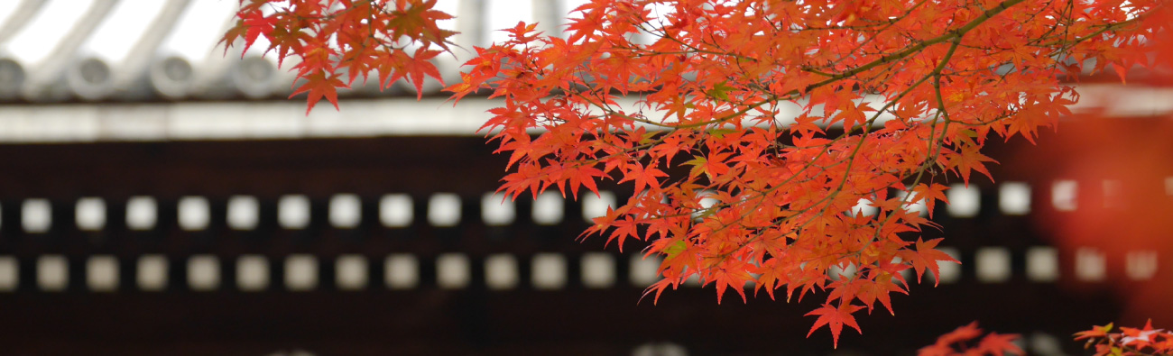 Suncall Kyoto image
